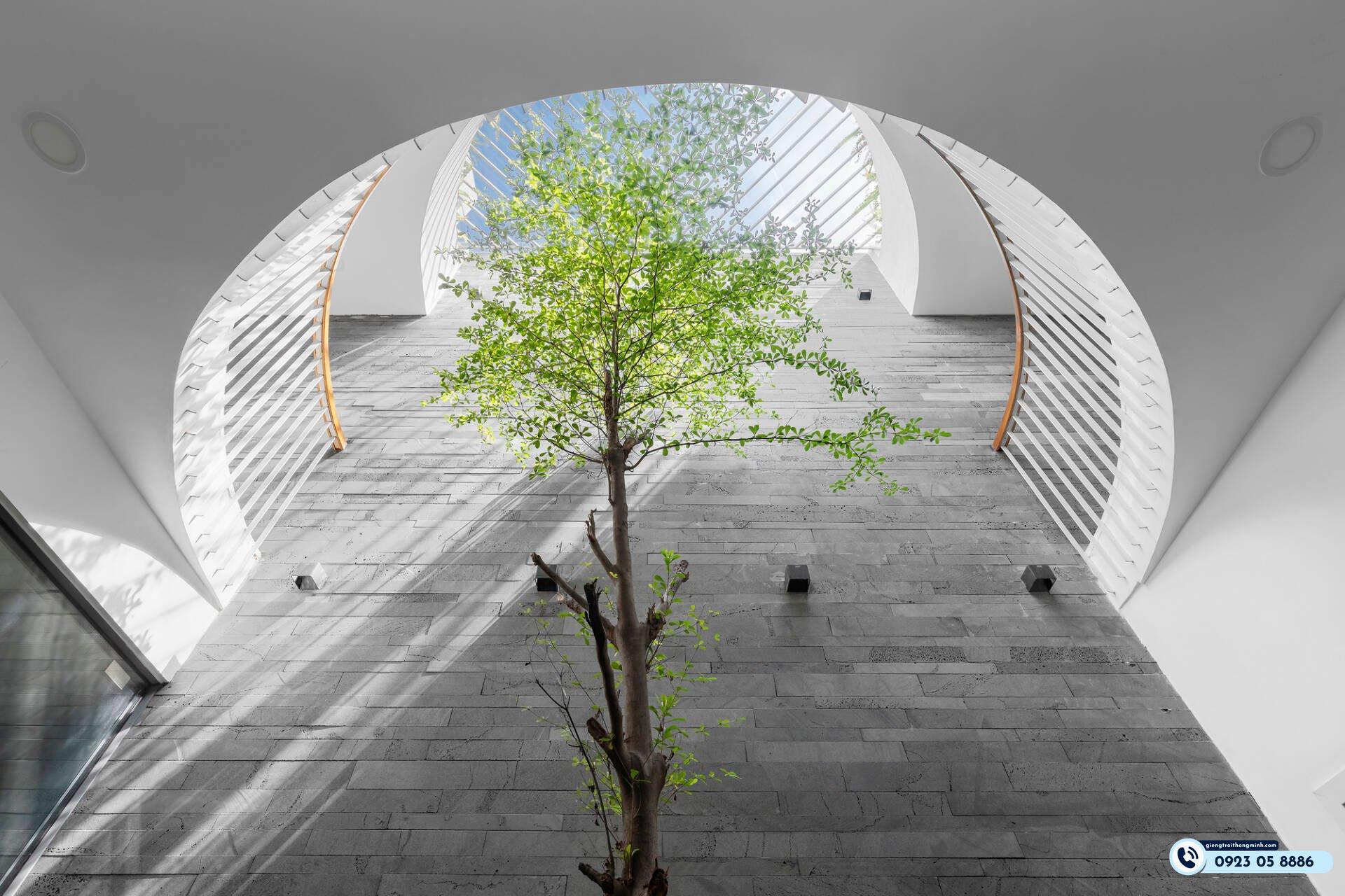 tầm quan trọng của Đá ốp giếng trời